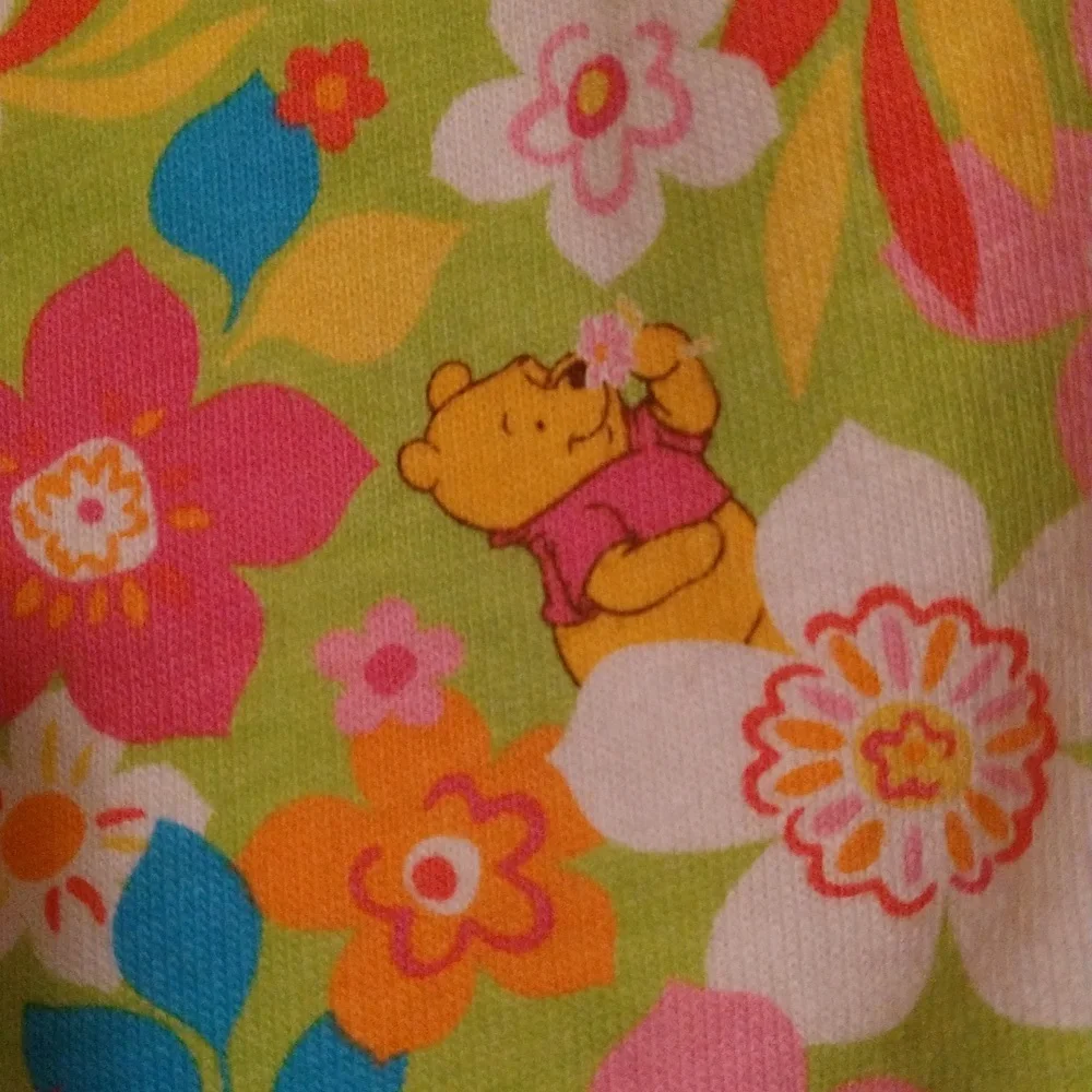 NEW- The Wonderful World of Disney Girls Dress With Winnie the Pooh, 18 months - Picture 4 of 7